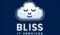 Bliss IT Services